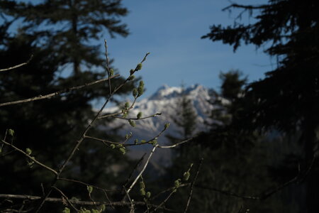 2016-04-ski-traverse-alpes, alpes-aventure-ski-traversee-alpes-vtt-turini-menton-2016-04-10-013