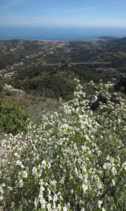 2016-04-ski-traverse-alpes, alpes-aventure-ski-traversee-alpes-vtt-turini-menton-2016-04-10-082