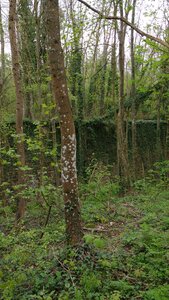Balade Fort Queuleu 17-04-16, IMG_20160417_165831312