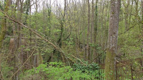 Balade Fort Queuleu 17-04-16, IMG_20160417_170039201