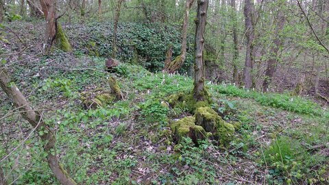 Balade Fort Queuleu 17-04-16, IMG_20160417_170056975