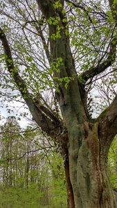 Balade Fort Queuleu 17-04-16, IMG_20160417_170439525_HDR