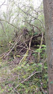 Balade Fort Queuleu 17-04-16, IMG_20160417_172102037