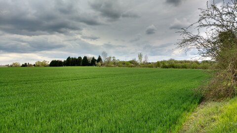 Balade Fort Queuleu 17-04-16, IMG_20160417_172734126_HDR