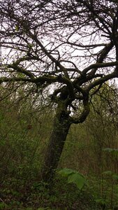 Balade Fort Queuleu 17-04-16, IMG_20160417_175155387
