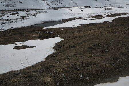 201604-17.23-ski-glaciers-vanoise, alpes-aventure-ski-glaciers-vanoise-col-genepy-2016-04-18-097