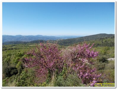 La route Napoléon, DSCN4296