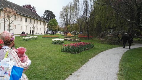 [24-04-2016] - La fête de la tulipe, IMG_20160424_142108