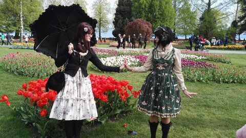 [24-04-2016] - La fête de la tulipe, IMG_20160424_161137