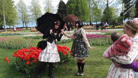 [24-04-2016] - La fête de la tulipe, IMG_20160424_161140