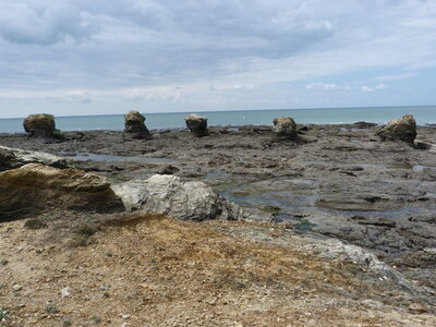 24-04-2016, Saint Gilles Croix de Vie-014