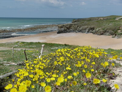 24-04-2016, Saint Gilles Croix de Vie-028