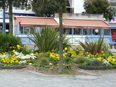 24-04-2016, Saint Gilles Croix de Vie-043