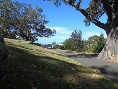 Australie-Sydney, DSC01334_resultat