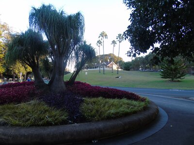Australie-Sydney, DSC01422_resultat