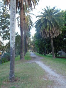 Australie-Sydney, DSC01427_resultat