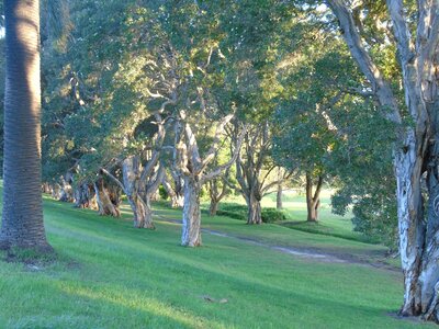 Australie-Sydney, DSC01428_resultat