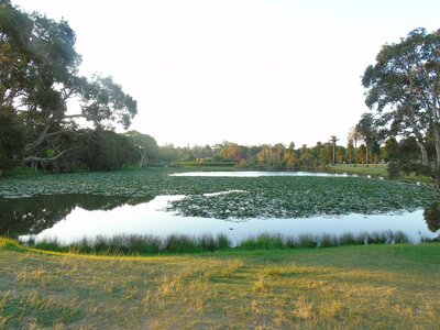 Australie-Sydney, DSC01438_resultat