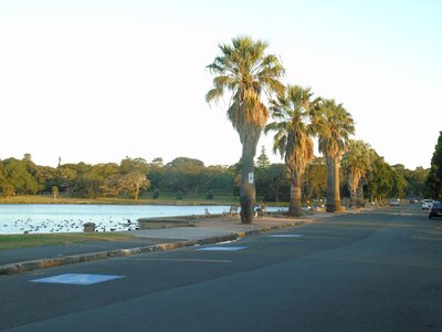 Australie-Sydney, DSC01439_resultat