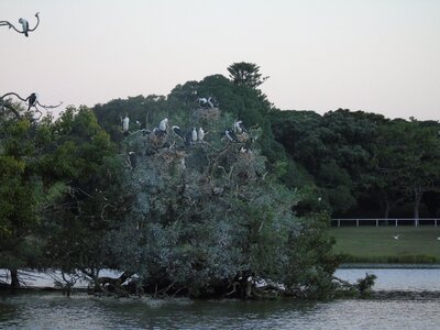 Australie-Sydney, DSC01473_resultat