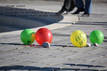 fecamp-debout_photos, 2016_04_17-25767553824_1299633300_o