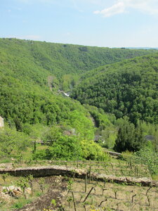 Bor et Bar, IMG_2782