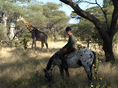 Maun_Cheval, P5053178