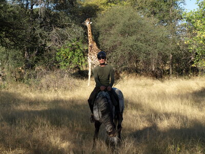 Maun_Cheval, P5053183