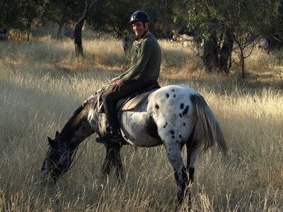 Maun_Cheval, P5053216