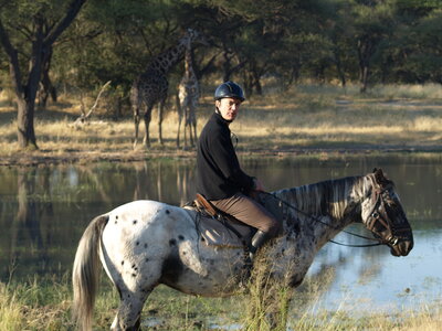Maun_Cheval, P5063232
