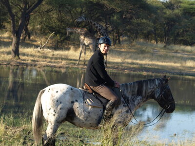 Maun_Cheval, P5063235