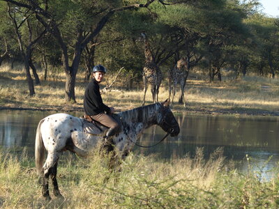 Maun_Cheval, P5063237