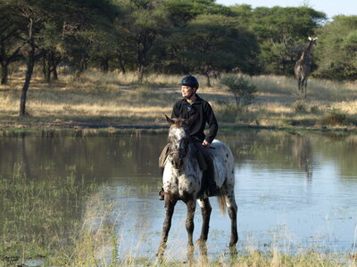 Maun_Cheval, P5063269