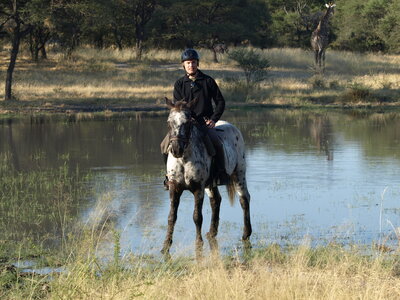 Maun_Cheval, P5063270