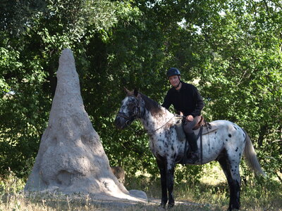 Maun_Cheval, P5063285