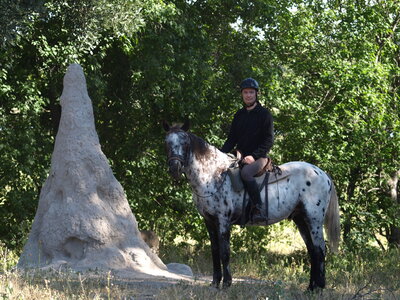 Maun_Cheval, P5063286