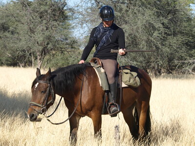 Maun_Cheval, P5073352