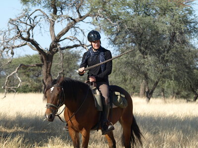 Maun_Cheval, P5073359