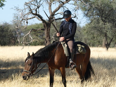 Maun_Cheval, P5073361