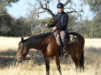 Maun_Cheval, P5073363