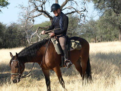 Maun_Cheval, P5073364