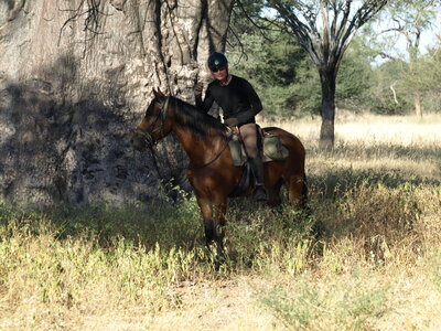 Maun_Cheval, P5073431