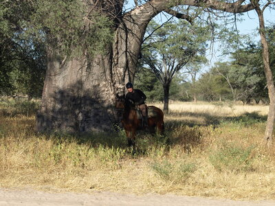 Maun_Cheval, P5073432