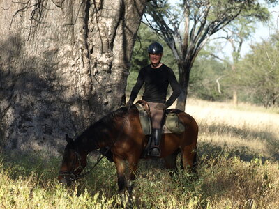 Maun_Cheval, P5073435