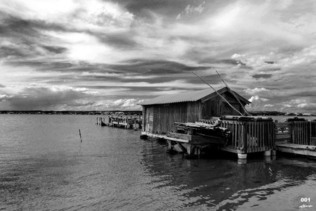 SELECTION PAPILLONS PHOTO 2016, 001P.2016.VENEZIA ROBERT