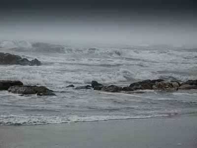 SELECTION PAPILLONS PHOTO 2016, 018P.2016.NICOLAS B