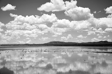 SELECTION PAPILLONS PHOTO 2016, 032P.2016.HUGO ALVES