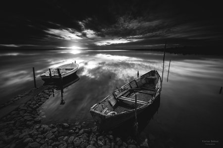 SELECTION PAPILLONS PHOTO 2016, 038P.2016.FLORIAN DEBOUT
