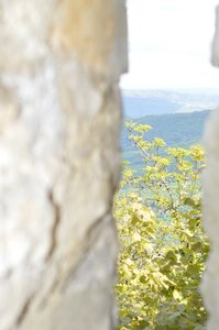 16-05-2016 Chateau  d'Oliferme Boutavant, DSC_0402  Copier 