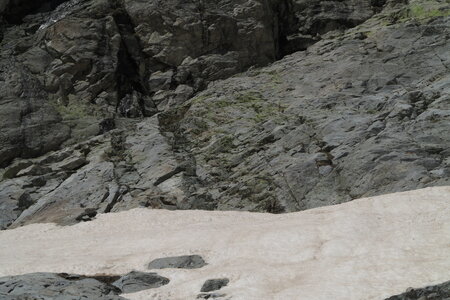 2016-05-15-17-ski-glacier-blanc, alpes-aventure-ski-randonnee-glacier-blanc-col-pyramide-098
